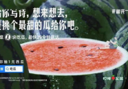 娱乐吃瓜文案图片大全,吃瓜记者的逆袭之路